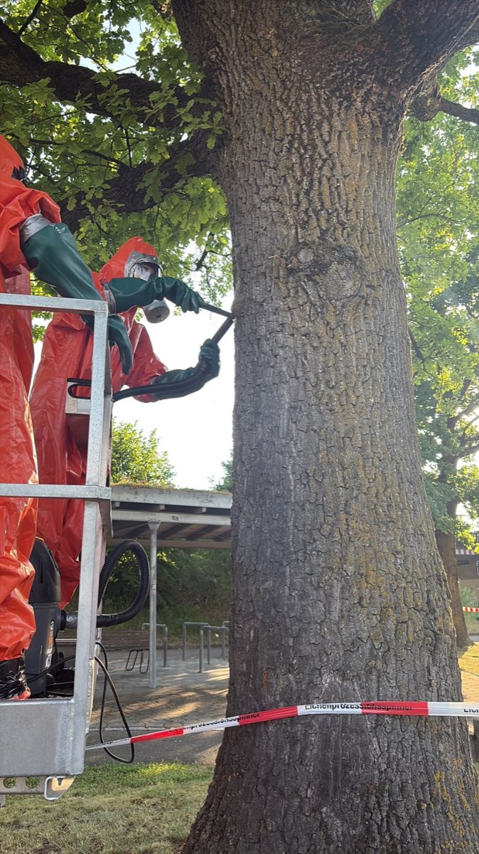 Einsatz 20/16 - TH 1 Kleineinsatz